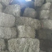 /درجه۱ یونجه خشک پرس