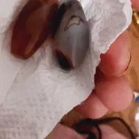 مهره جفت نر وماده خیلی قدیمی وقوی و خاص