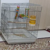 قفس عروس هلندی