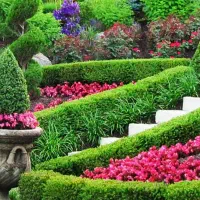 خدمات باغبانی،کشاورزی،فضای سبز