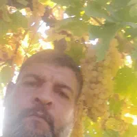 هرس کاری و باغبانی