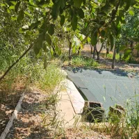 باغ ویلا سند بنچاق کنتوربرق آب|فروش خانه و ویلا|هشتگرد, شهرک راه آهن|دیوار