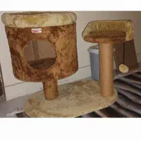 درخت و جای خواب گربه و سگ