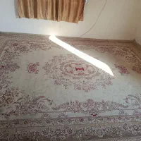 فرش کاشان|فرش|آق قلا, |دیوار