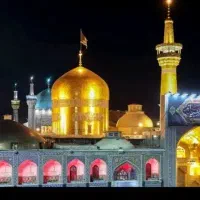 داوطلبانه