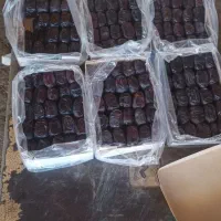 فروش خرمای رطب