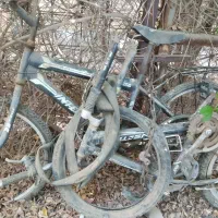 دوچرخه 24|دوچرخه، اسکیت، اسکوتر|بندر ماهشهر, |دیوار