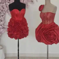 خیاط حرفه ای ونیمه حرفه ای بیرون بر وداخل کارگاه