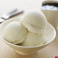 سرمایه گذار جهت راه اندازی تولید بستنی