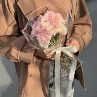 «انفجار قیمت»|گل و گیاه طبیعی|مشهد, هفت تیر (حافظ)|دیوار