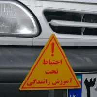 آموزش رانندگی، مربی خصوصی آموزش رانندگی