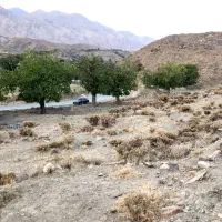 3726-متر-زمین-در-شهر-شهمیرزاد