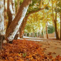 تور گردشی اخر هفته اطراف تهران