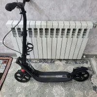 اسکوتر نوجوان و بزرگسال