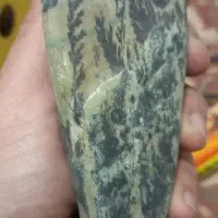 فسیل سنگ|کلکسیون اشیاء عتیقه|پاکدشت, پاکدشت (مامازند)|دیوار