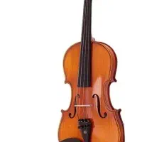 ویولن حرفه ای Tf 142 رگلاش شده|ویولن|زاهدان, |دیوار