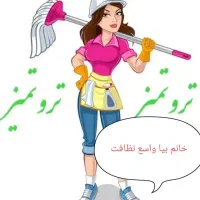 نظافت منزل