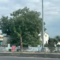 اجازه ۲۰۰۰ متر زمین بر جاده اصلی جاده ساحلی