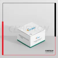 آتلیه طراحی گرافیک حرفهای + فرمبندی تخصصی|خدمات رایانهای و موبایل|تهران, نیلوفر|دیوار