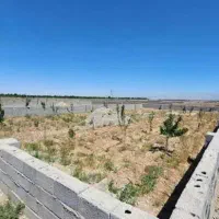 زمین جهت ساخت باغچه سند شش دانگ