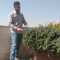 باغبانی سمپاشی گل کاری هرس تعویض گلدان با ضمانت|خدمات باغبانی و درختکاری|تهران, تجریش|دیوار