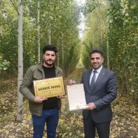 فروش ویژه نــهآل صنــوبر با قیمت مناسب