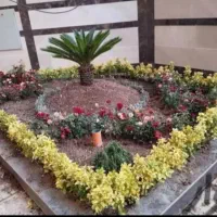 خدمات باغبانی درخت کاری باغچه کاری تعویض خاک گلدون