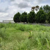 باغ۳۰۰متری