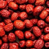 فروش عناب