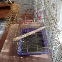 قفس|لوازم جانبی حیوانات|خمینی‌شهر, |دیوار