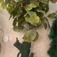 فروش درختچه کریسمس و گیلاس