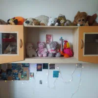 سرویس تخت نوجوان|تخت و سرویس خواب|فردیس, نسترن غربی|دیوار