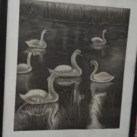 تابلو نقاشی|تابلو، نقاشی، عکس|بوشهر, |دیوار