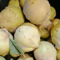 به ارگانیک