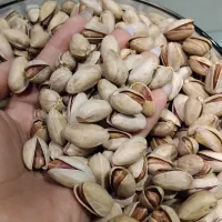 تخفیف ویژه پسته شب یلدایی زیر قیمت|خوردنی و آشامیدنی|تهران, افسریه جنوبی|دیوار