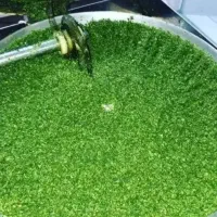 پخش عمده سبزی خرد شده تازه قورمه پلو کوکو آش و...