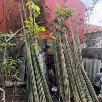 لوله خزران به سایز های مختلف تحویل درب منزل داریم