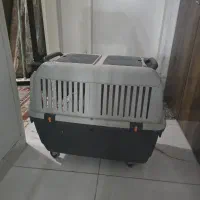 باکس سگ .گربه جونده