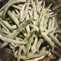 لوبیا (سس پیله) آماده و پاک شده