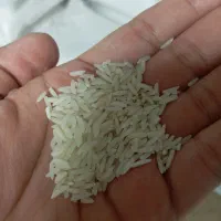 برنج هاشمی درجه یک