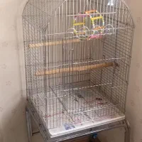 قفس بزرگ(آرا،کاکادو،کاسکو)استیل