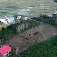 زمین-مسکونی-شهرکی-با-ویو-بی-نظیر-باغ-چای-و-کوه