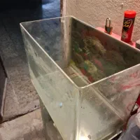 آکواریوم شیشه خم