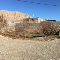 گاوداری ۵۰ راسی