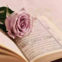 خانمی هستم ک ختم قران صلوات زیارت عاشورا نماز