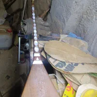 صدف کاری  دوتار