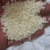 برنج طارم فریدونکنار فوق معطر امسالی