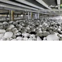 کارگر تولید آقا