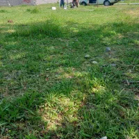 موقعیت جغرافیایی زمین بهترین لوکیشن در گیلان