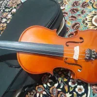 ویولن نو درجه یک
